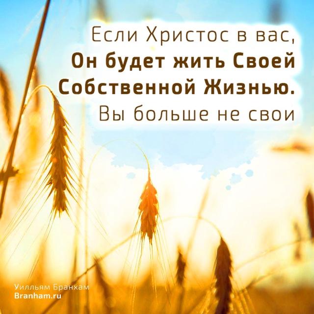 Картинка цитаты